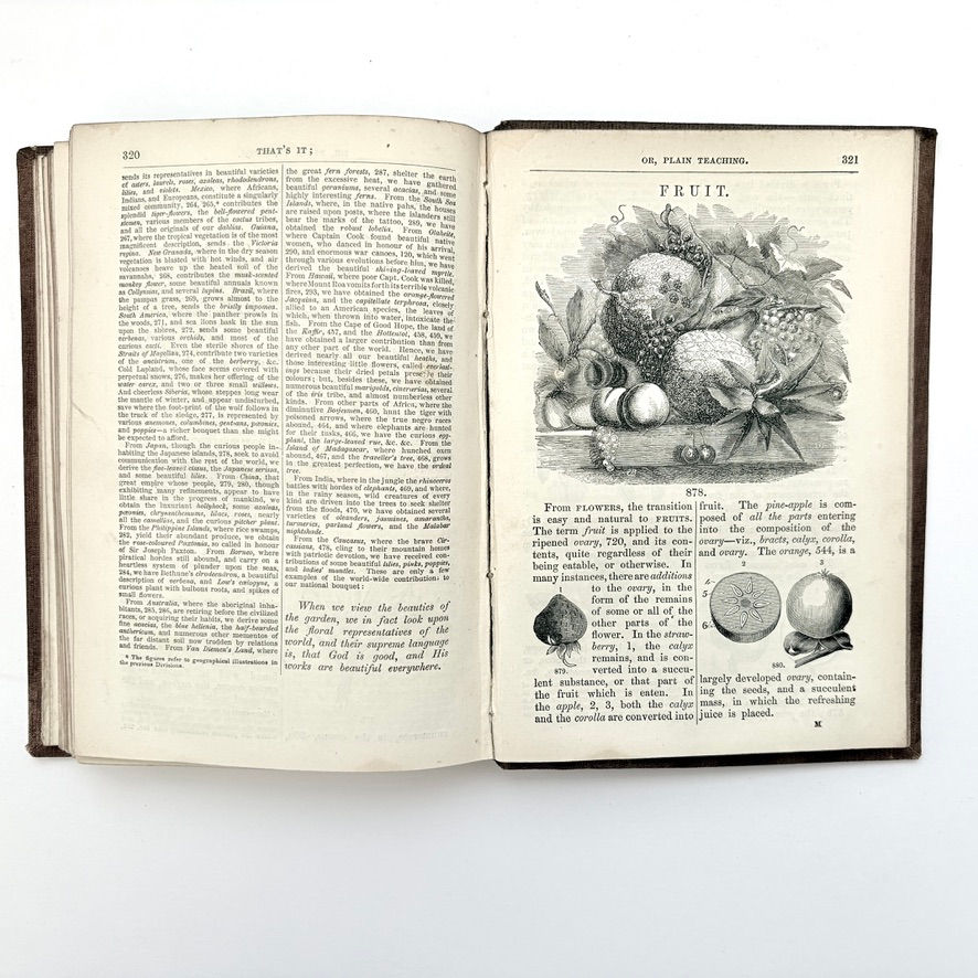 Thumbnail: Light gutter crack between pages 320 and 321 That's It 1860