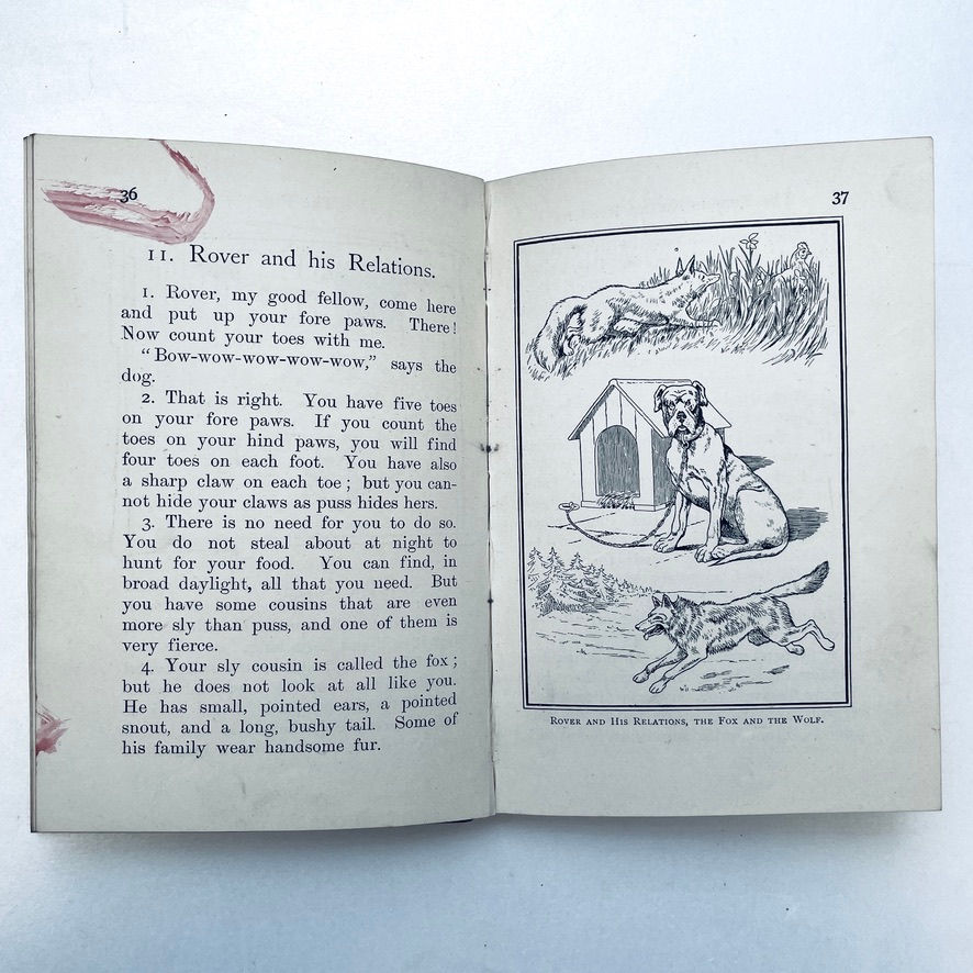 Miniaturbild: Pages 36–37 of The Temple Nature Readers Book I featuring facing a full-page black and white nature illustration.