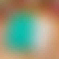 Handwritten letter discovered inside an antiquarian book, revealing hidden provenance