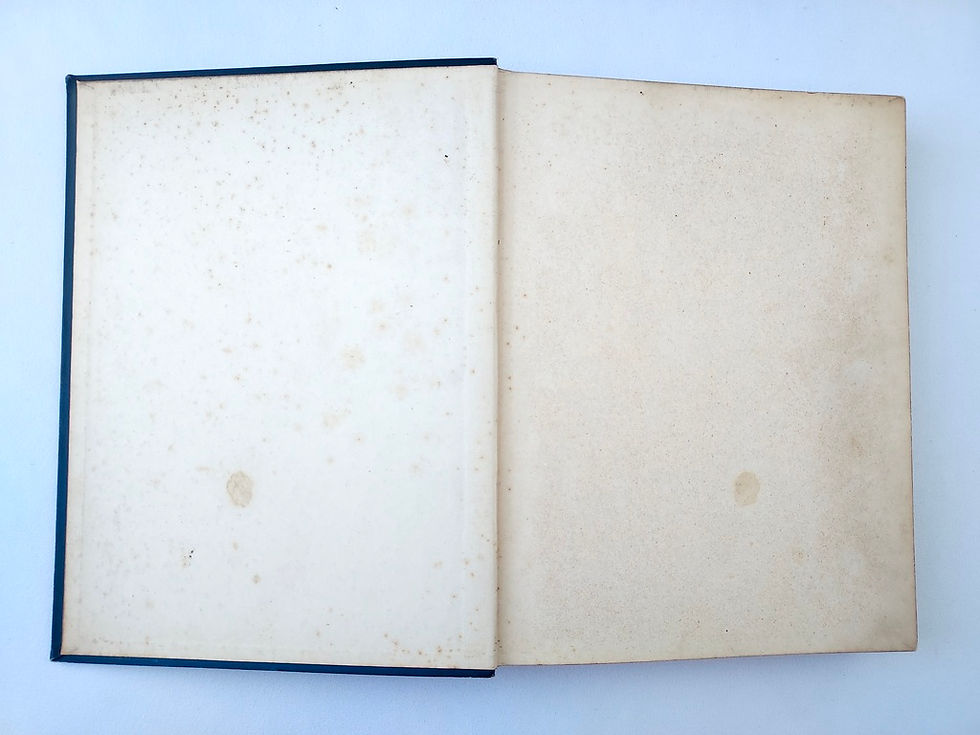 縮圖：Front pastedown in Robinson Crusoe