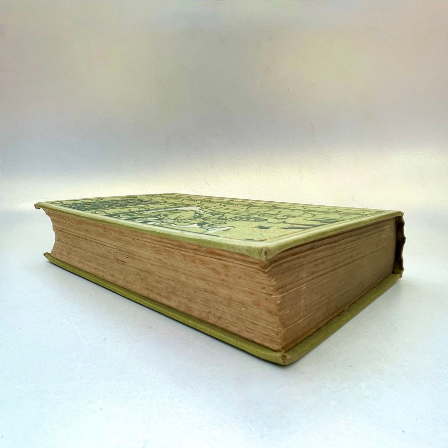 縮圖：Top page edges of Cynthia’s Brother 1901 RTS illustrated book, marbled effect faint and showing slight foxing.