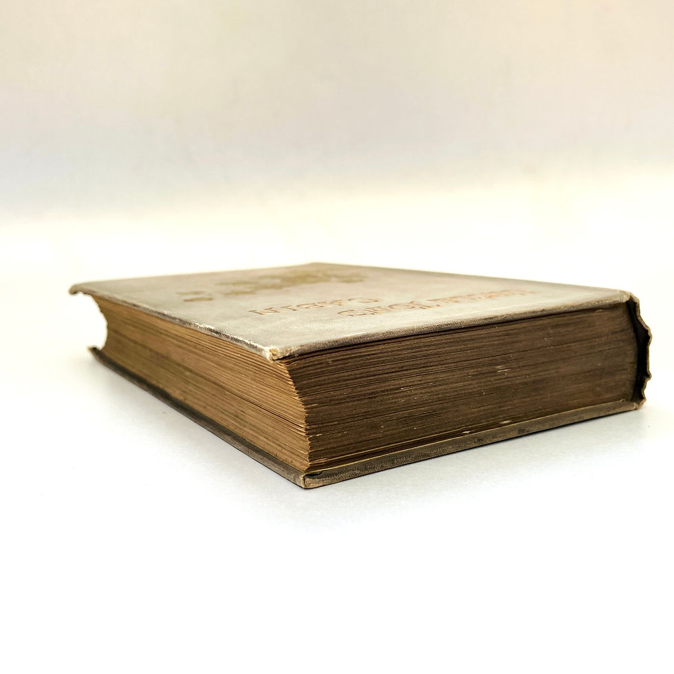 Miniaturbild: Top-edge coloured pages with slight wear from age.