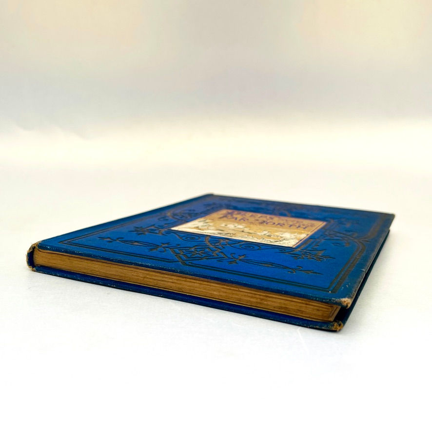 Miniatyrbild: Bottom edge of pages with light wear on Peeps Into the Far North Scholes 1870s illustrated Victorian book.