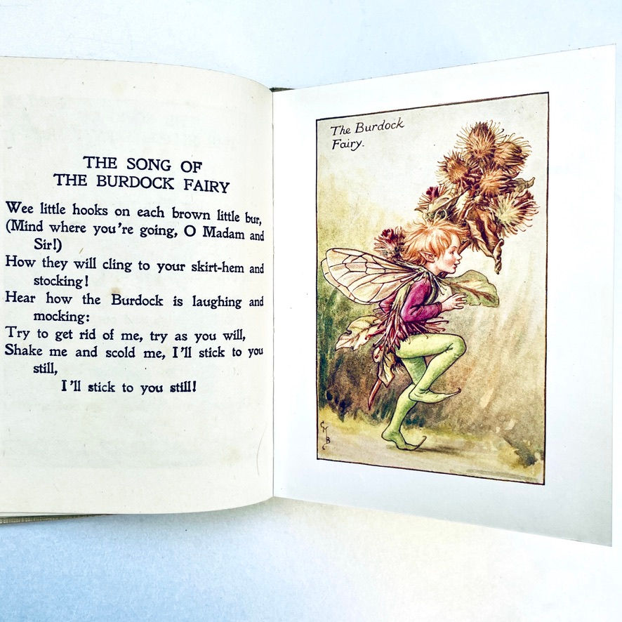 Miniatura: Full-page colour plate – The Burdock Fairy with rich autumn hues.