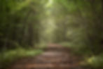 AdobeStock_246303918.jpeg