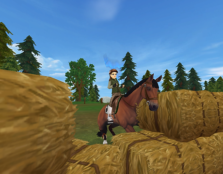 StarStable 2020-12-25 17-32-31.png
