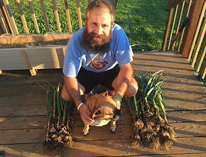 Elephant Garlic, Planting Garlic, Garlic Farm