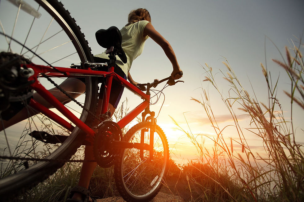 Passeios de BTT
