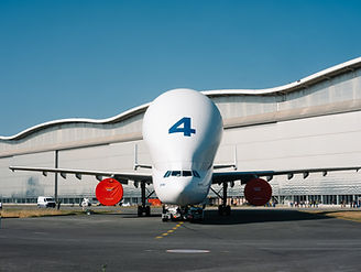 ©DRD2_AEROSCOPIA_BELUGA_34.jpg