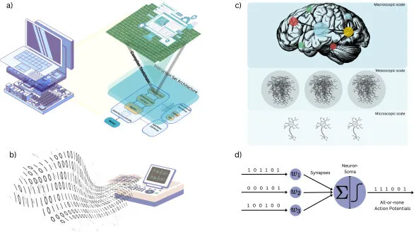 Durante décadas, la neurociencia ha interpretado el cerebro con metáforas propias de la computación digital, una visión que hoy empieza a ser cuestionada. Fuente: Neuroscience and Biobehavioral Reviews