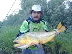 Dorado del Juramento