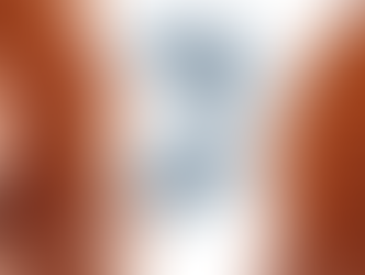 Un hallazgo cambia el debate sobre la inteligencia: los gemelos idénticos pueden tener diferencias significativas en el coeficiente intelectual