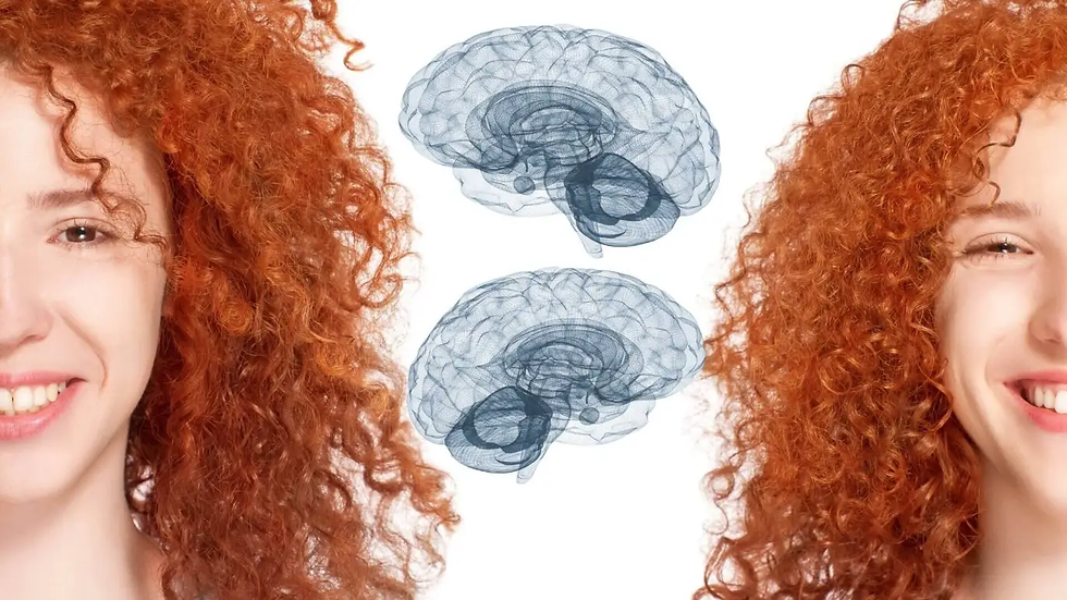 Investigadores analizan un siglo de datos y concluyen que la educación pesa más que la herencia en el CI de gemelos separados. Fuente: iStock (composición Edgary Rodríguez R.)