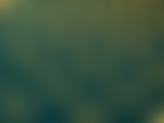 Científicos crean partículas que se comportan como luciérnagas: se mueven y brillan al unísono