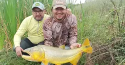 Dorado del Juramento