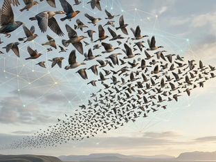 Ni el instinto ni la vista: es la física la que dicta cómo se organizan las aves volando en formación