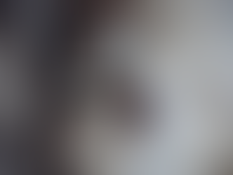 Un hallazgo sorprendente revela cómo los gatos podrían influir en nuestro cerebro más de lo que imaginamos