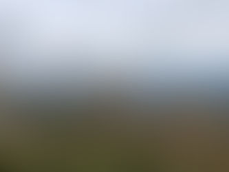 お出かけ先にハイキングコースがあれば、行き先に追加してみては如何でしょうか