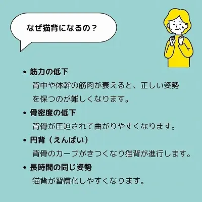 芦屋で人気の整体院が薦める猫背解消法