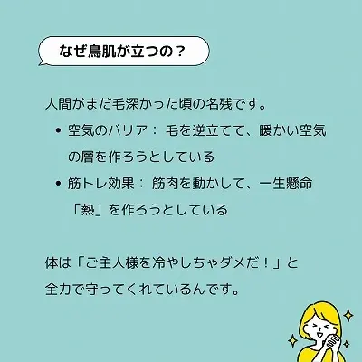 芦屋市で人気の整体院が解説する鳥肌の正体