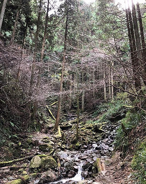 山の中を流れる川