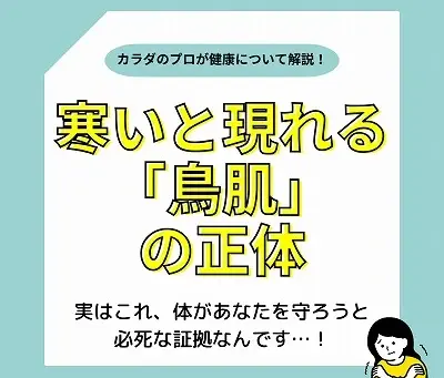寒いと鳥肌が立つ理由