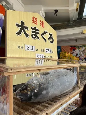西宮神社に奉納される大まぐろ