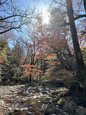 大台ヶ原の西大台エリア