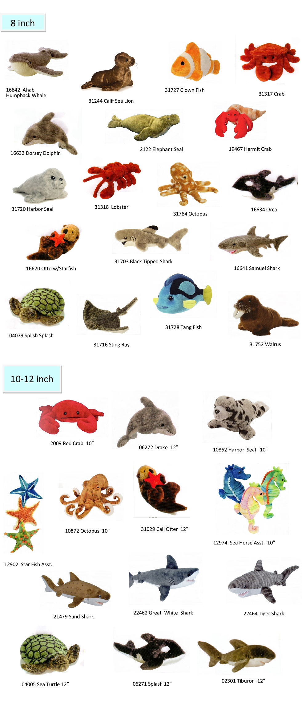 Sea Life Website.jpg