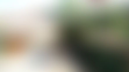 Pousada Imbassaí em Maresias