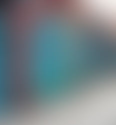 GAYA Gastronomia e Arte