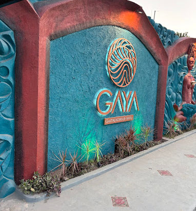 GAYA Gastronomia e Arte