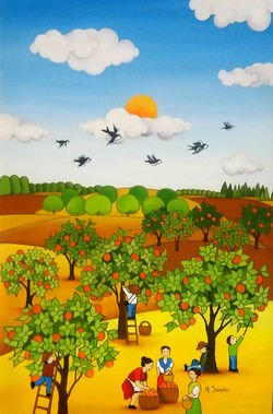 campos de naranjos