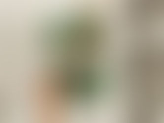 Het Geheugen Van Babel – Christelle Dabos