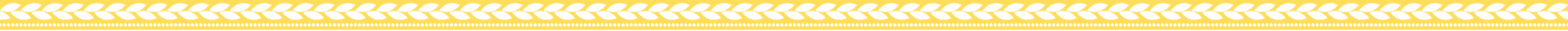 1 (19)_edited.png
