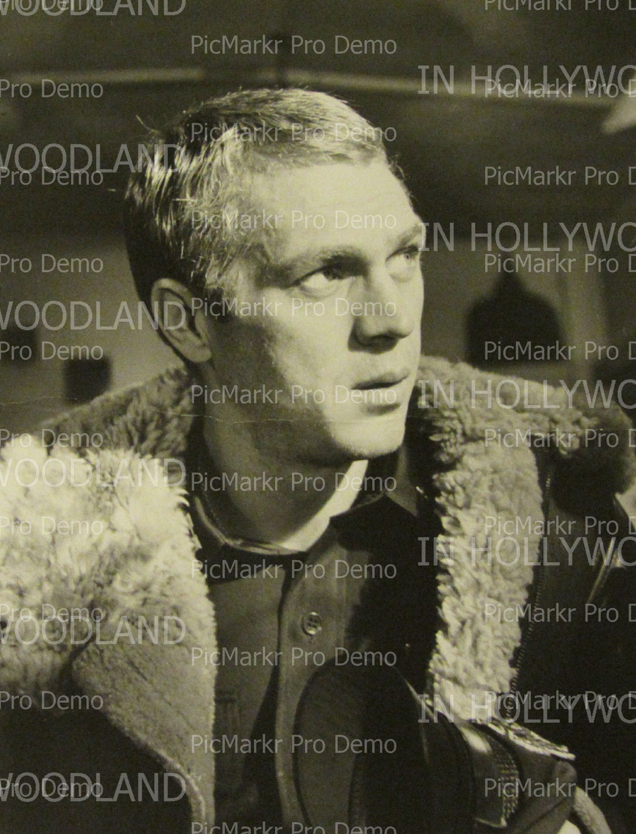 Steve McQueen 03
