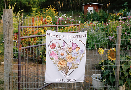 HC11.JPG