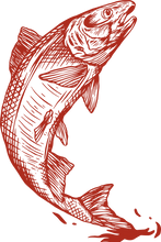 22.png