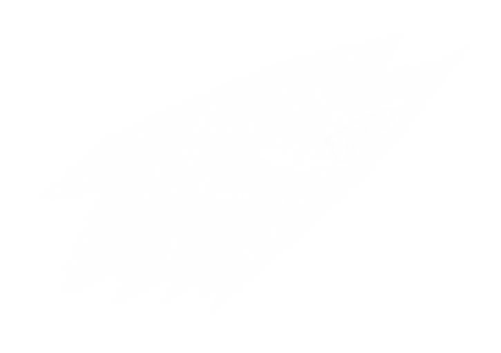 5_edited.png