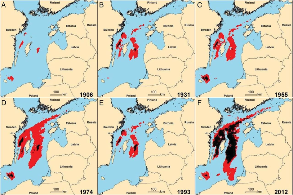 Verteilung von Sauerstoffarmen (<2 mg⋅L−1) Zonen in rot und Sauerstofffreien Zonen in schwarz in der Ostsee von 1906 bis 2012. Verteilung über das Ganze Jahr (Januar bis Dezember) Bild von Jacob Carstensen et al., 31.03.2014, Deoxygenation of the Baltic Sea during the last century, https://doi.org/10.1073/pnas.1323156111