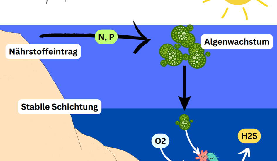 Todeszonen in der Ostsee