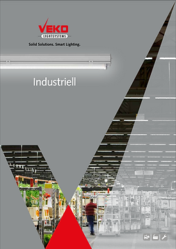 Veko-Flyer.png