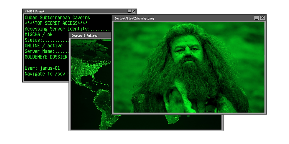 Robbie Coltrane as Rubeus Hagrid as part of the greatly popular HARRY POTTER film franchise.