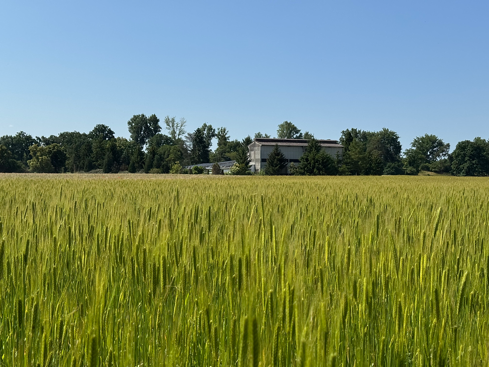 Feld und Hof