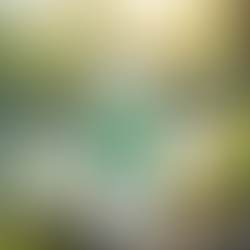 Innovative Branding Strategies for Water Bottles in 2025: Captivating Customers through Sustainability