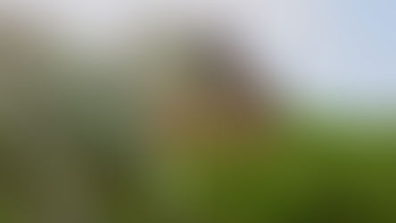 Com emenda de Botelho, Parque dos Dinossauros se torna grande atração em VG