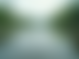 The Importance of Mindfulness in Daily Life