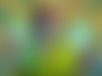 Common Problems in Product Management (And How to Solve Them)