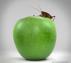 Beauty and the Beast