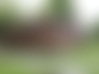 A Day at the EAIA Conference – Genesee Country Village & Museum